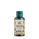 Ginger Shampoo 60ml