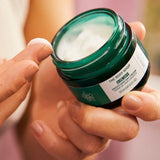 Daily Smoothing Set - Edelweiss