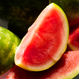 Watermelon Sorbet Born Lippy