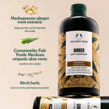 Ginger Shampoo
